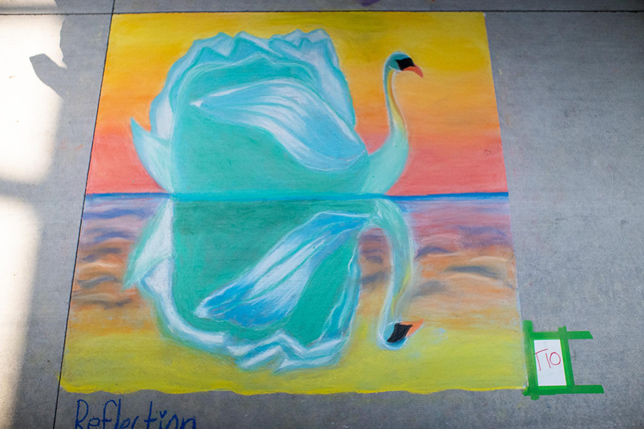Swan and reflection